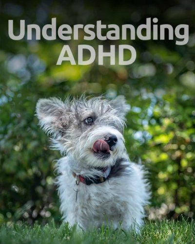 adhd-450x600