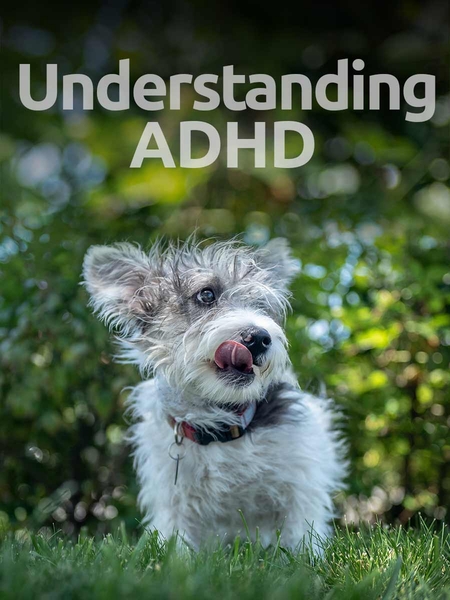 adhd-450x600