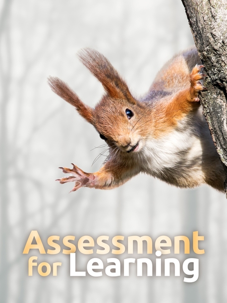 Assessment for Learning