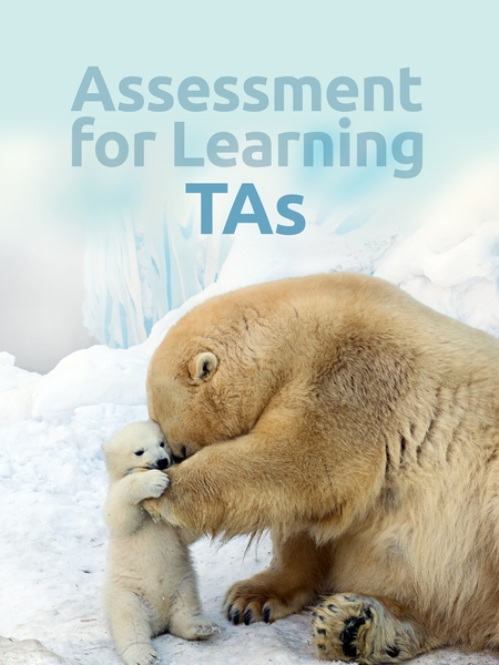 Assessment for Learning: TAs