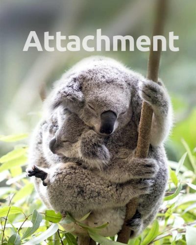 attachment-450x600