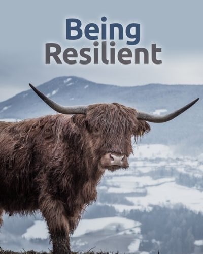 be_resilient-450x600