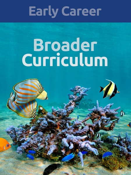 Broader Curriculum: Early Career