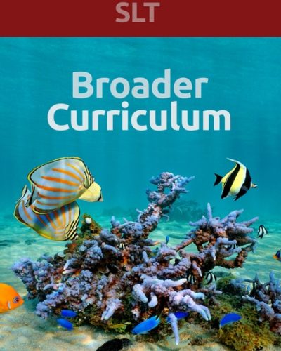 broad_curric_slt-450x600