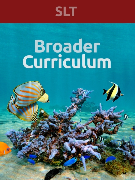 Broader Curriculum: SLT