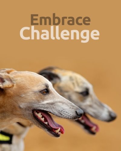 challenge-450x600