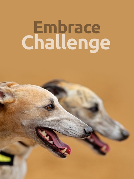 challenge-450x600