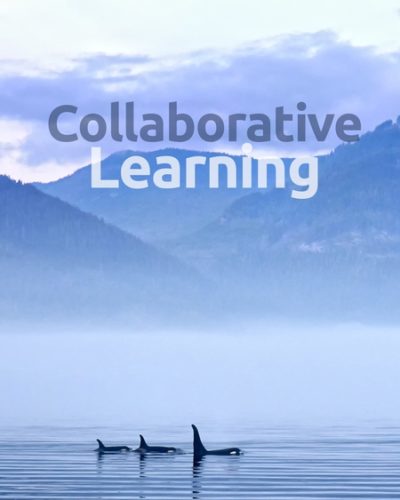 co_learn-450x600