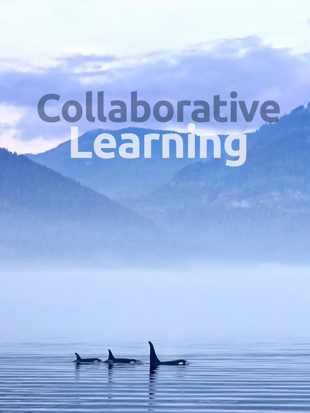 Collaborative Learning