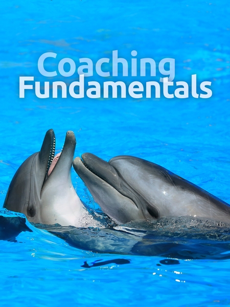 Coaching Fundamentals