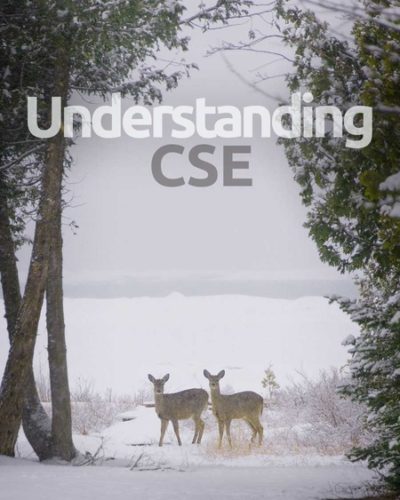 cse-450x600