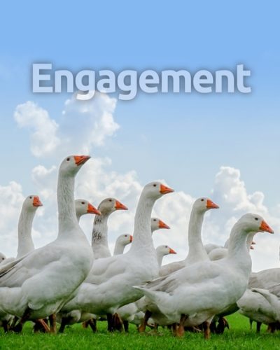 engagement-450x600