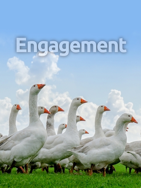 engagement-450x600