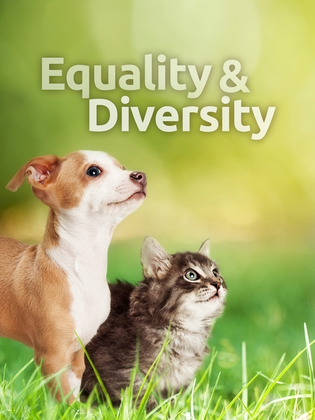 equality-450x600