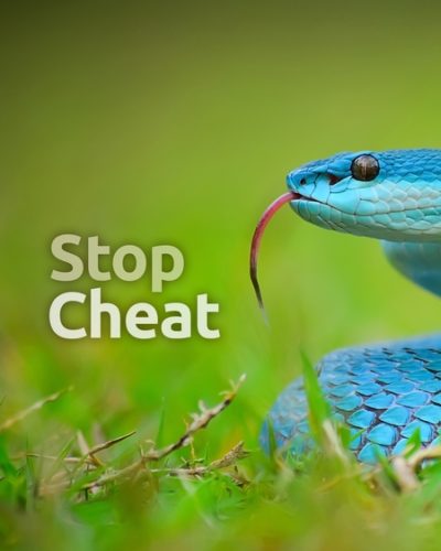 etd_cheat-450x600