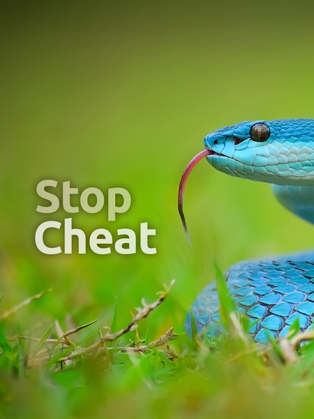 etd_cheat-450x600