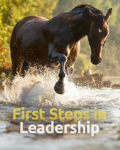 first_lead-450x600