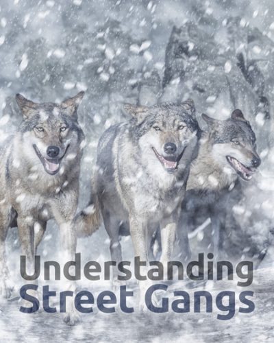 gangs-450x600