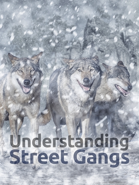 gangs-450x600