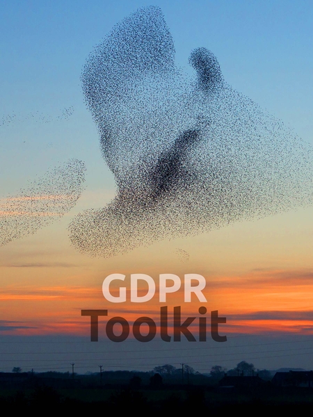 gdpr-450x600