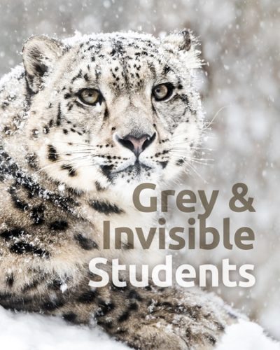 grey_invis-450x600