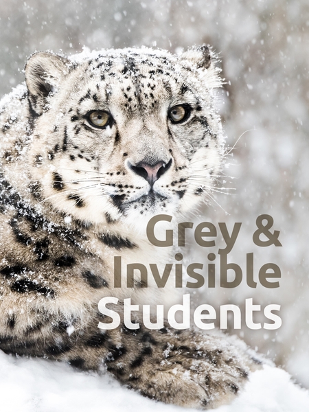 grey_invis-450x600