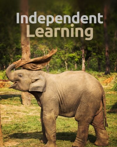 ind_learn-450x600