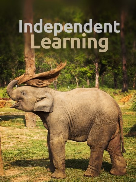 ind_learn-450x600