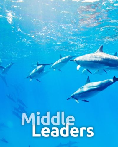 lc_midlead-450x600