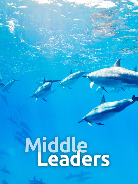 lc_midlead-450x600