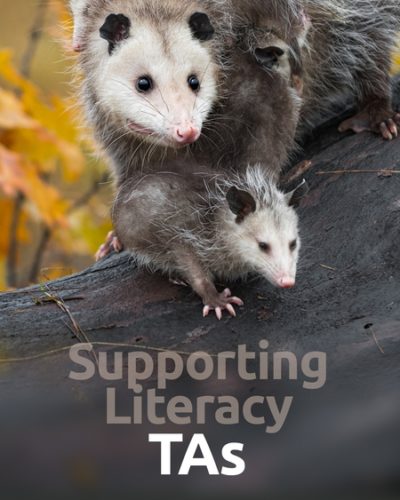 literacy_ta-450x600