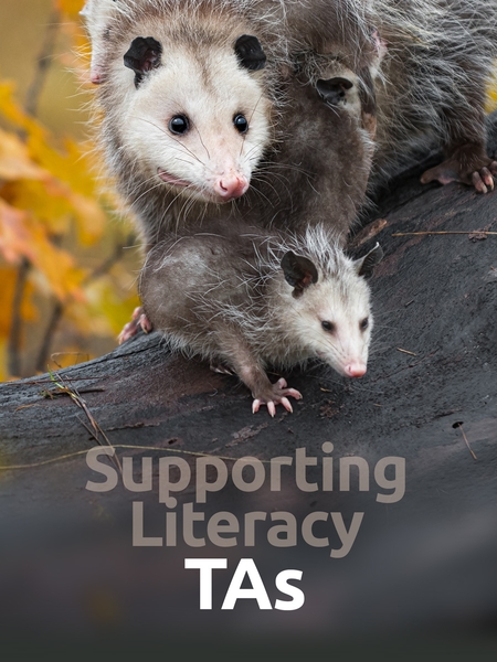 literacy_ta-450x600