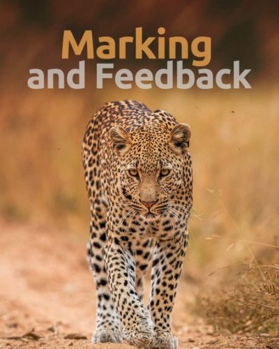 marking-450x600