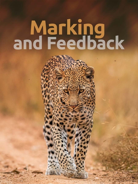 marking-450x600