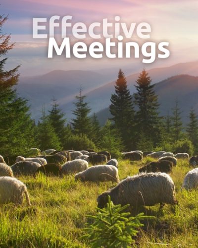 meetings-450x600