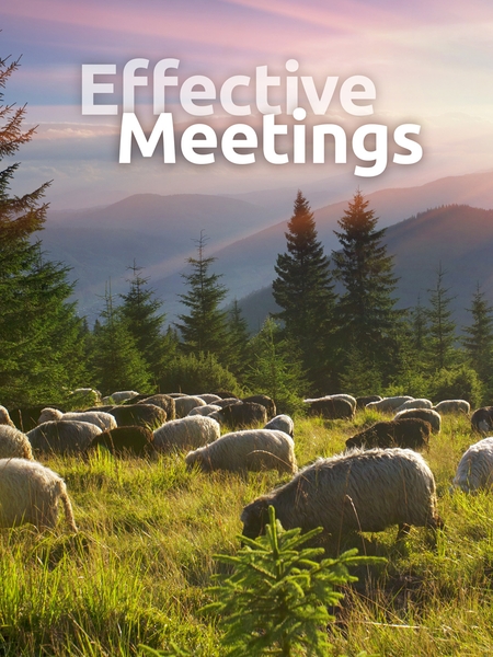 meetings-450x600