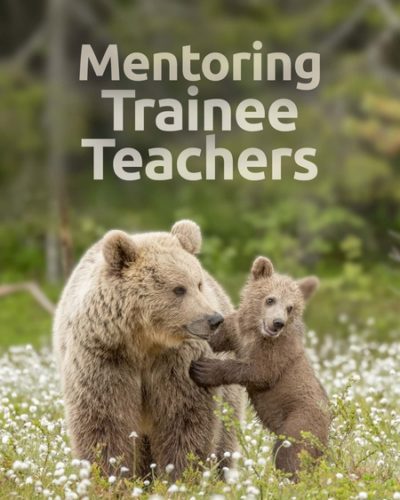 mentor_tt-450x600