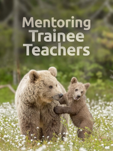 mentor_tt-450x600