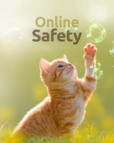 online_safe-450x600