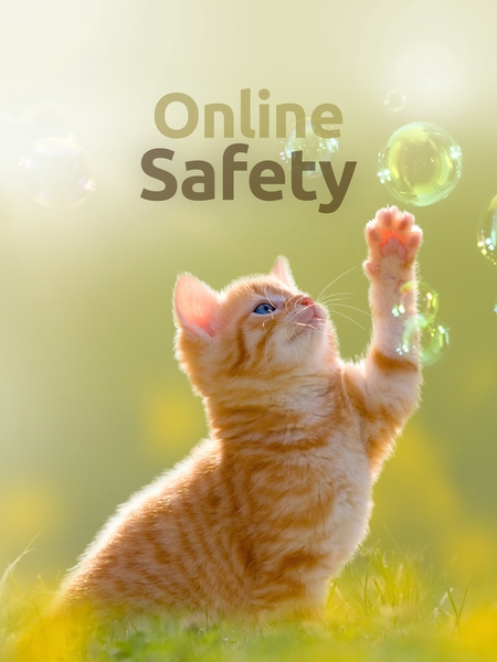 online_safe-450x600