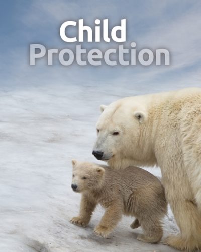 protect-450x600