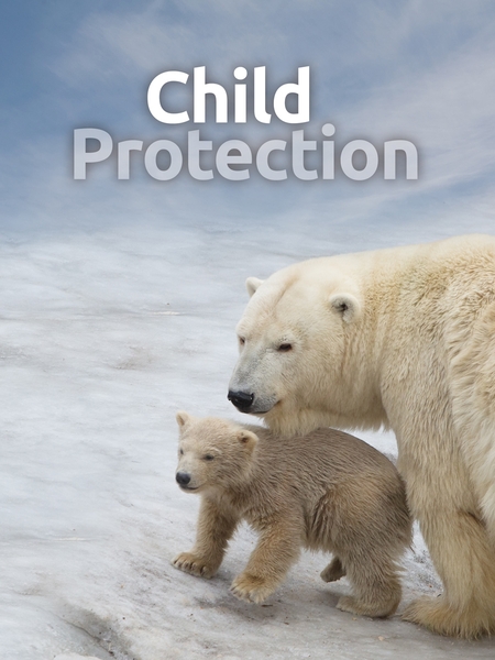 Child Protection Covering