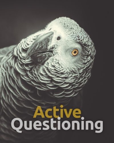 questioning-450x600