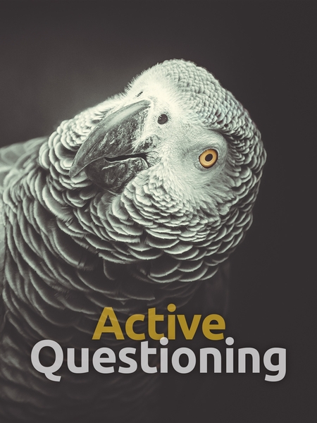 Active Questioning