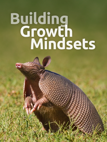 Building Growth Mindsets