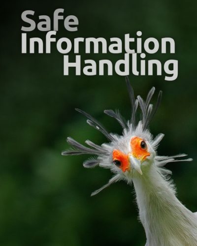 safe_info-450x600