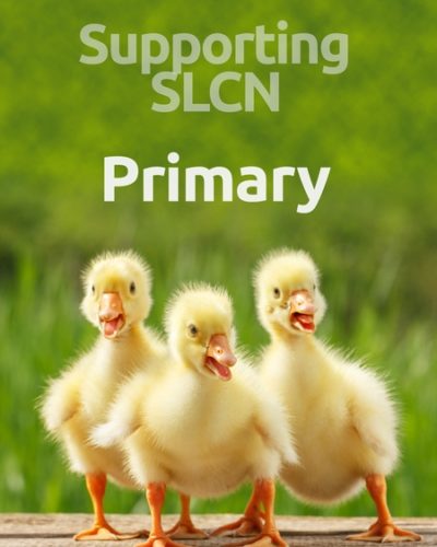 slcn_pri-450x600