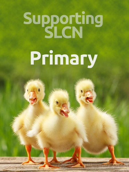 slcn_pri-450x600