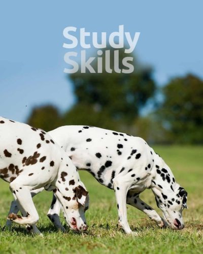 study_skills-450x600