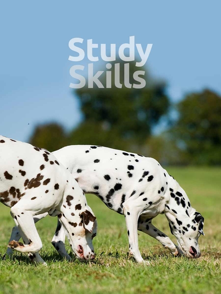 study_skills-450x600